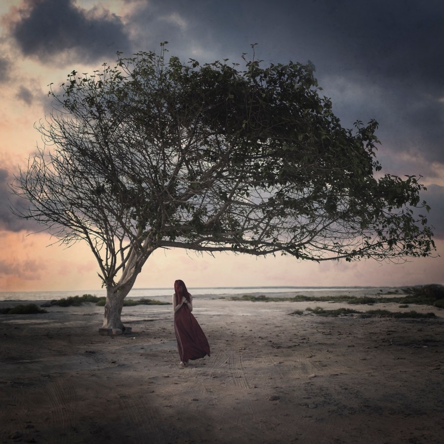 The Sky of The Sky of a Tree Called Life