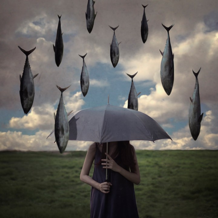 Metaphors Help Eliminate What Separates You and Me