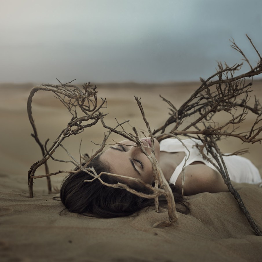 AmaniAlShaali_Wither_small